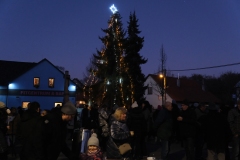 DSCF5733