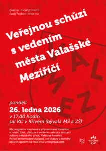 veřejná schůze
